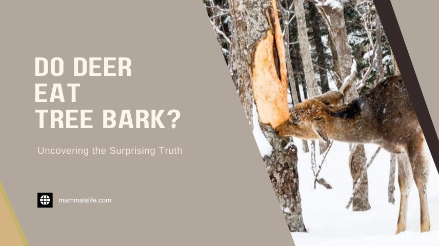 Do Deer Eat Tree Bark