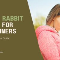 Baby Rabbit Care for Beginners