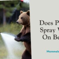 does pepper spray work on bears