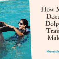 how much does a dolphin trainer make